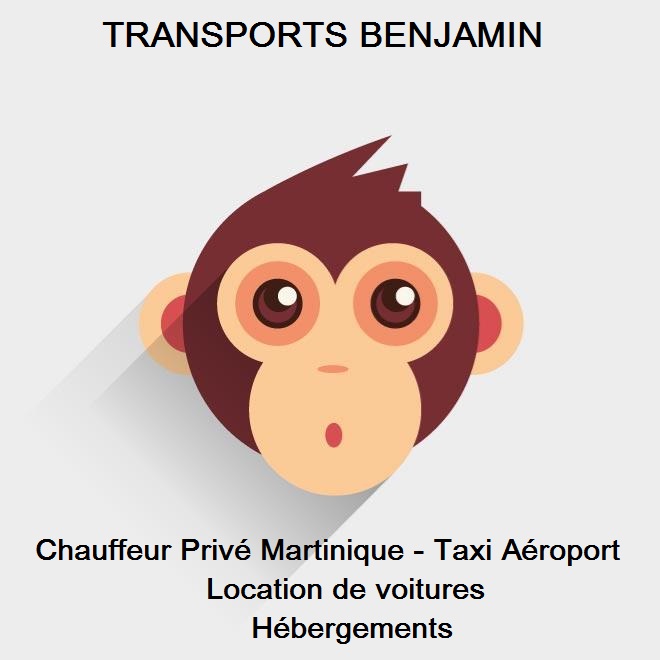Transports Benjamin,chauffeur privé martinique, navette taxi aeroport, transports touristiques